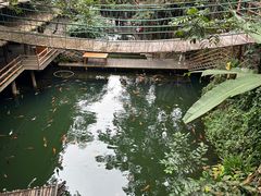-海南槟榔谷黎苗文化旅游区