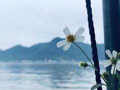 -北岐滩涂