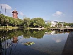 -厦门园林博览苑