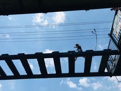 -梦幻奥陶纪景区