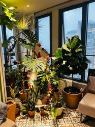 -优刻西服西装定制(金轮国际广场店)