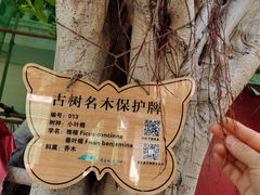 -白帝城·瞿塘峡景区