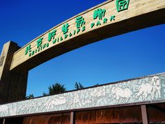 -北京野生动物园