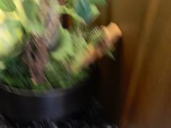 -映像威海·海鲜味道(市区店)