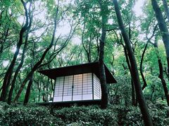 -中国茶叶博物馆(双峰馆区)