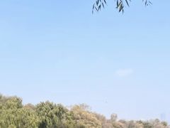 -长春市南湖公园