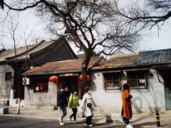 -北京国子监胡同