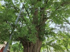 -北京石刻艺术博物馆(五塔寺)