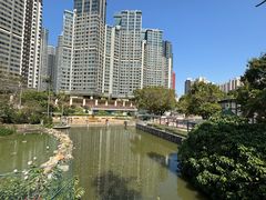-石排湾郊野公园