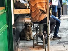 门面-RAC BAR(安福路店)