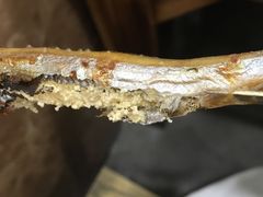 -桃园烧烤·砂锅(商业步行街店)