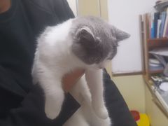 -宠颐生宠物医院·心肾内科·猫专科诊疗中心宠巢店