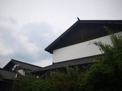 -大塘金香草谷
