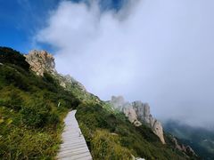 -白草畔自然风景区