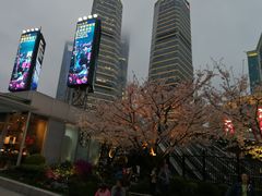 -东方明珠广播电视塔