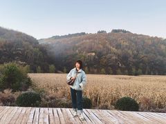 -南泥湾风景区
