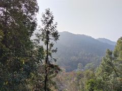 -桃花岭景区