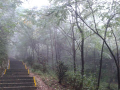 -秦岭天竺山景区