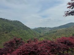 -四明山国家森林公园