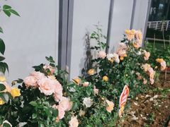 -许鲜生健康生活馆·精细潮菜(奥绅体育公园店)