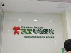 -悦宠凯宝动物医院·牙科·皮肤科(朝阳北路店)