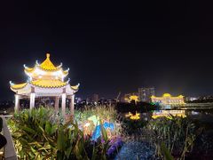 -江心岛