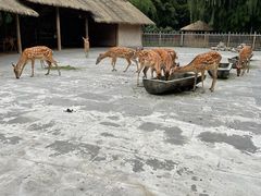-金沙遗址博物馆