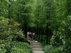 -广州市帽峰山景区