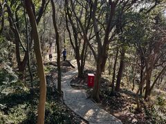-上海佘山国家森林公园天马山园
