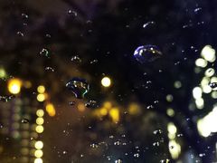 -廖老妈蹄花店(人民公园陕西街259号店)