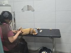 -德元·美联众合24小时动物医院(总院)