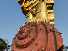 -大金鹰园