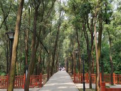 -南国桃园旅游度假区