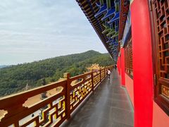 -东莞市大岭山森林公园