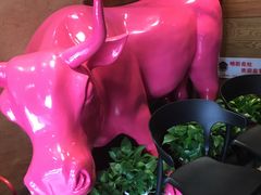 -小放牛炒菜馆(军校店)