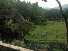 -四季酒店下午茶