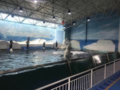 -秦皇岛乐岛海洋王国