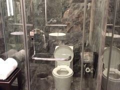 马桶-榛悦隆堡成都酒店(春熙路太古里店)