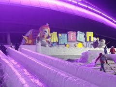 -沈阳奥体冰雪嘉年华