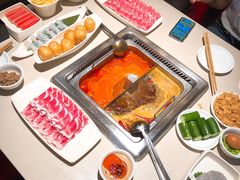-海底捞火锅(泉城路店)