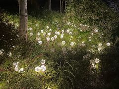 -天目湖涵田度假村