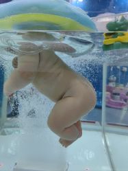 -海豚啵啵体智能游泳馆(惠山万达广场店)