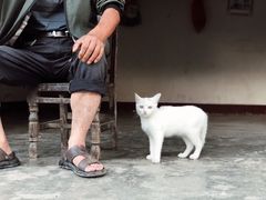 -青林口古镇