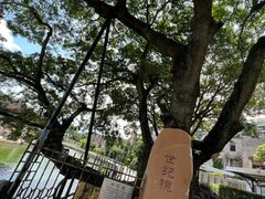 -石炮台公园