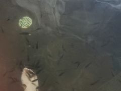 -四季贵州·山地温泉水世界