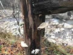 -秦岭终南山世界地质公园翠华山景区