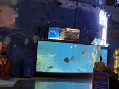 -烟台海昌鲸鲨海洋公园