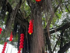 -荔湾湖公园
