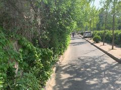 -斯多格书乡(北京大学畅春园店)