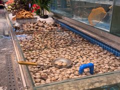 -一方渔歌蒸汽海鲜自助(文化路万达广场店)